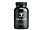 Shilajit – 60 Capsules